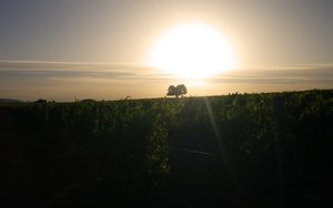 突泉縣客服有限責任公司